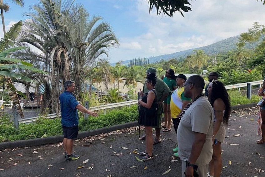 Kona Shore Excursion: Coffee, Culture & Coastal Views 5