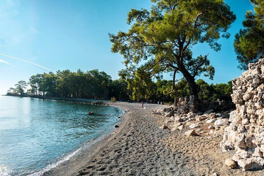 A pebble beach with a stone wall and pine trees. 4