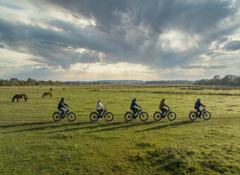 A group of cyclists on a trail with horses grazing in the background. 2