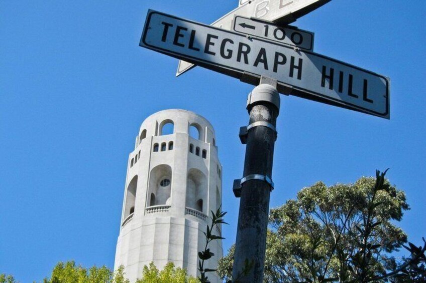 Street signs for Telegraph Hill and 100. 3