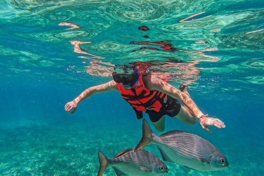 A person swimming underwater with fish. 4