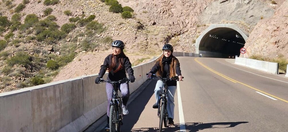 Picture 3 for Activity Mendoza: E-bike Mountain Tour 4