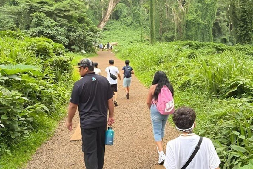 A group of people walking on a dirt path surrounded by lush greenery. 4