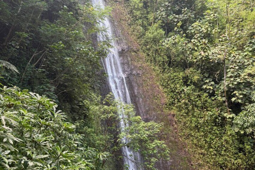 A waterfall surrounded by dense forest. 1