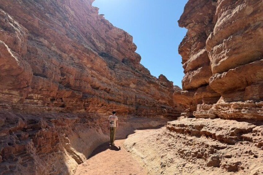 A person standing in a narrow canyon with red rock walls. 4