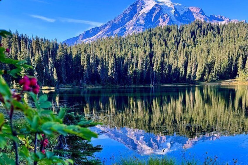 A mountain lake with reflections, surrounded by dense forest. 1