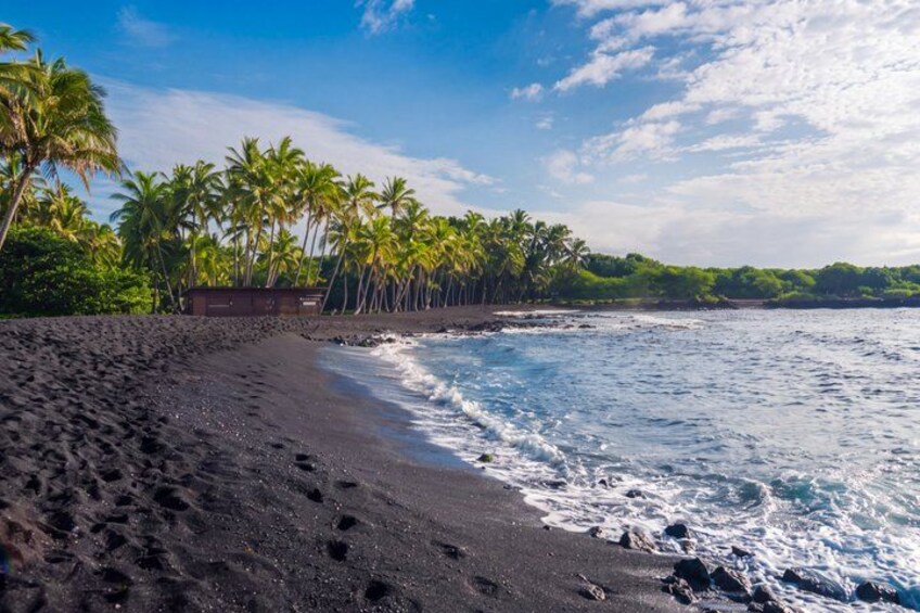 A black sand beach with palm trees and ocean waves. 5