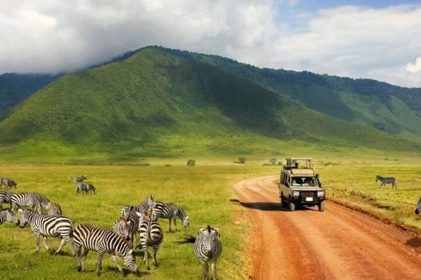 A safari vehicle on a dirt road with zebras grazing in the foreground and a mountain in the background. 3