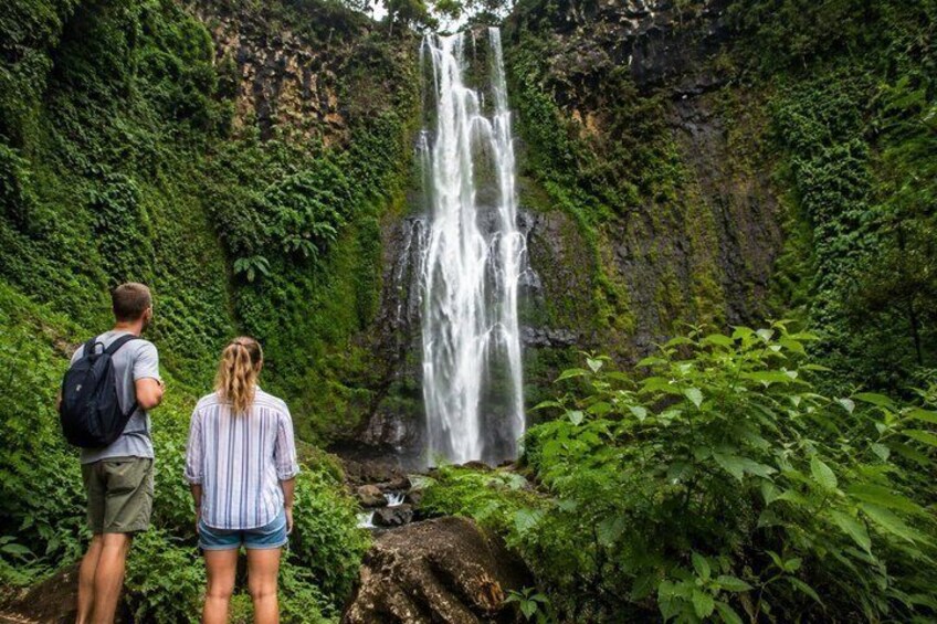 A waterfall surrounded by lush greenery. 2