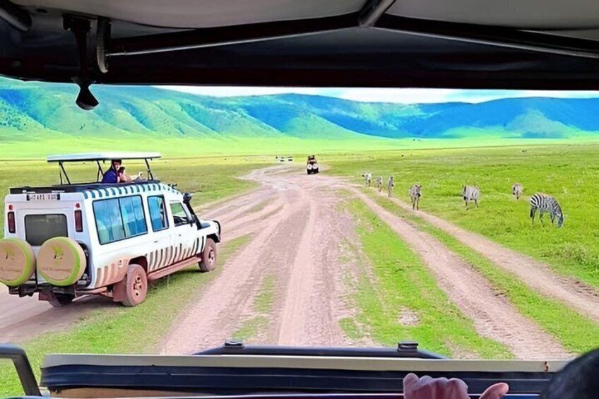 A safari vehicle on a dirt road with zebras grazing in the background. 1