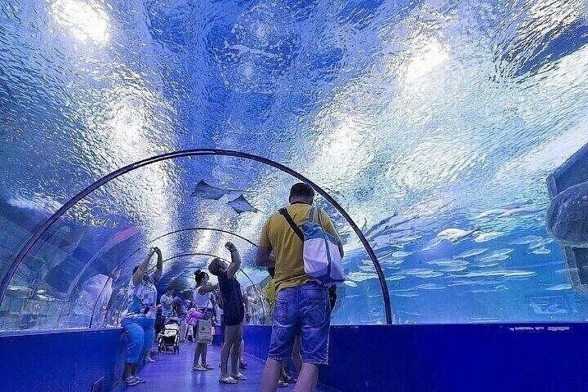 An underwater tunnel with people walking through, surrounded by water and fish. 5