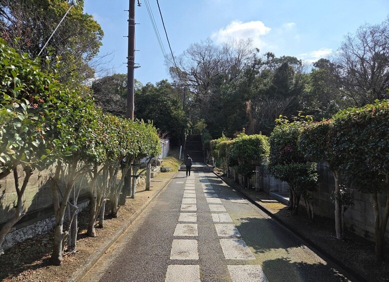 A narrow urban street flanked by dense foliage and a pedestrian. 5