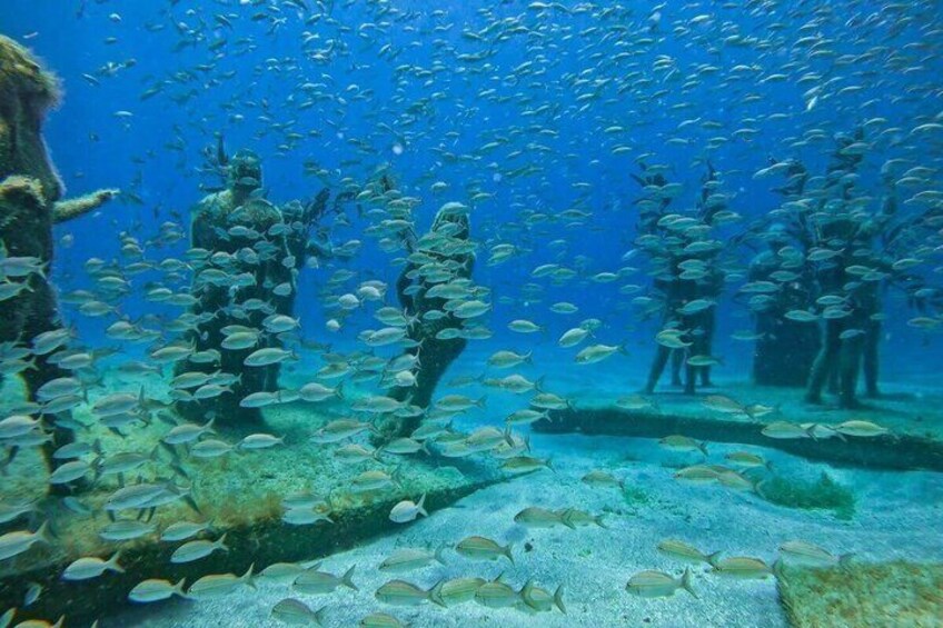 Half Day Snorkeling trip 2