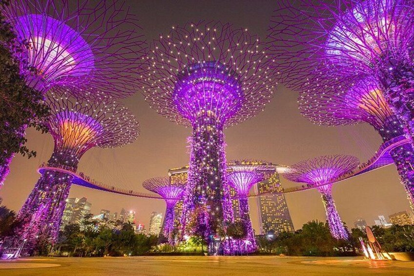 Illuminated structures resembling trees with a cityscape in the background. 5