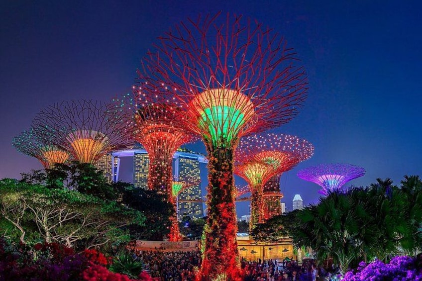 Illuminated trees with a cityscape in the background. 2