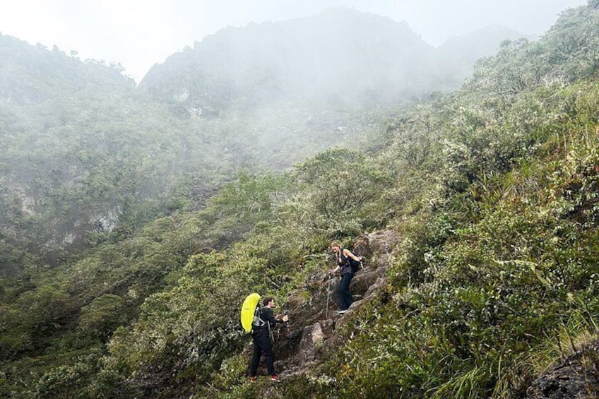 A hiker with a yellow backpack on a mountain trail surrounded by dense vegetation. 4