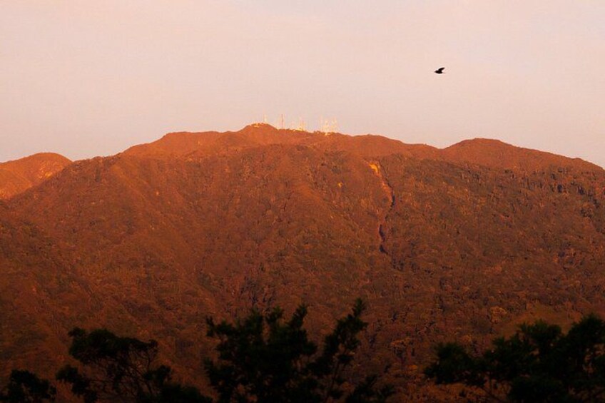 2-Day Volcan Barú Camping trip via Paso Ancho Trail with sunrise 2