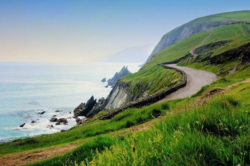 A winding coastal road with grassy hills and rocky outcrops. 4