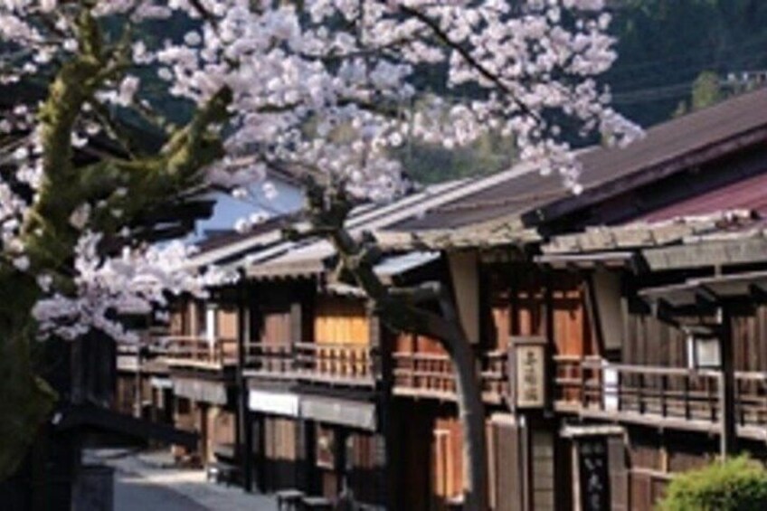 Cherry blossoms, traditional wooden buildings, and a mountain backdrop. 4