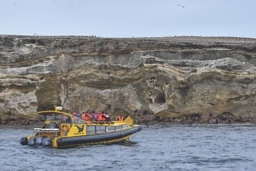A boat with passengers, a rocky coastline, and cliffs in the background. 5