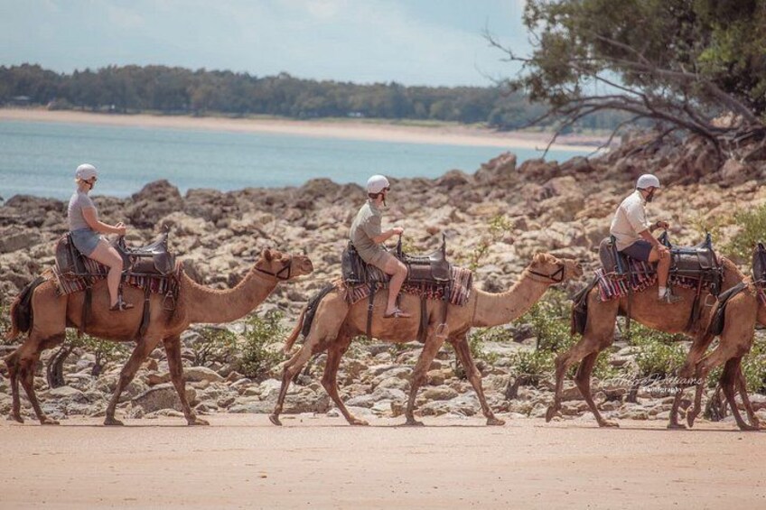Three people riding camels on a rocky beach with a body of water in the background. 2
