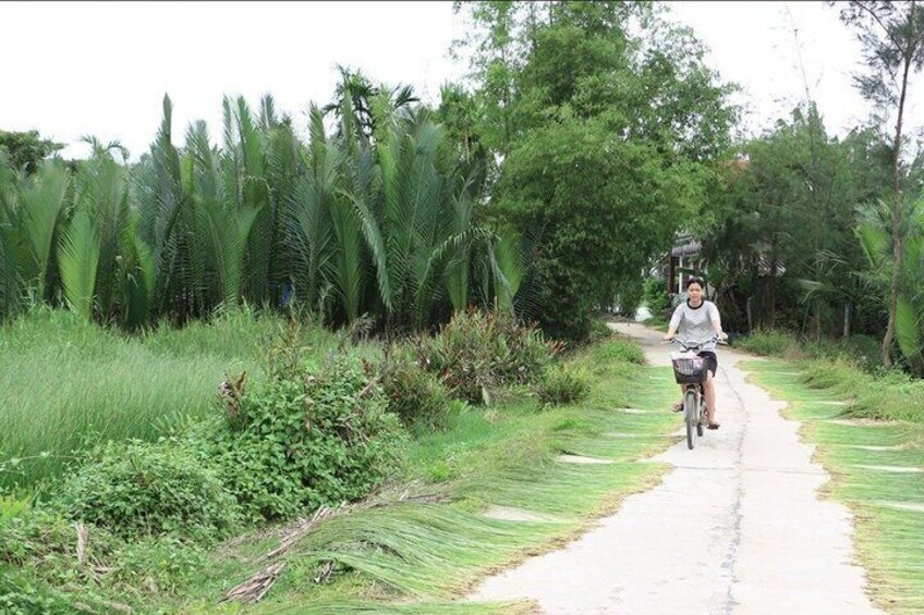 A person riding a bicycle on a rural path surrounded by lush greenery and tall palm trees. 3