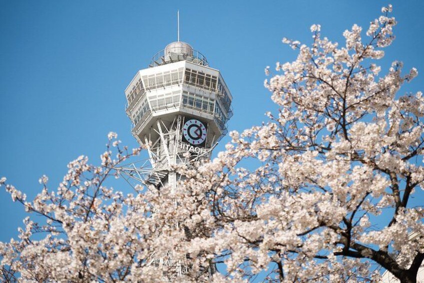 A control tower with a clock, surrounded by cherry blossom trees. 4
