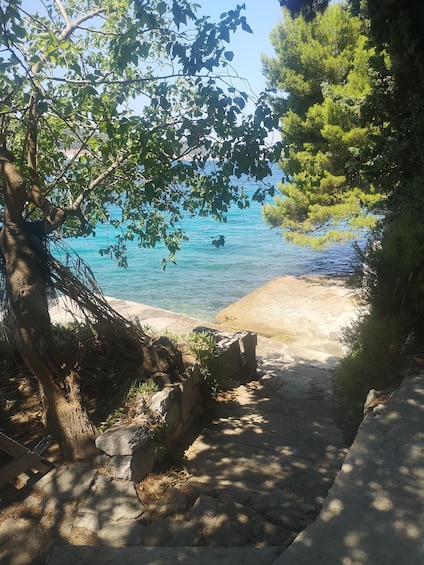 A coastal path with trees and a sandy beach. 4