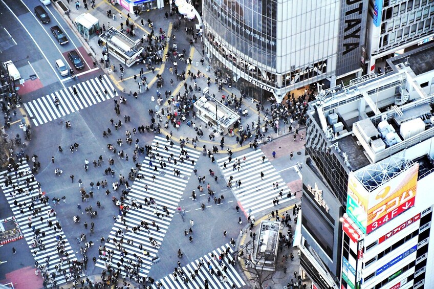 Tokyo Cruise Port Driver Transfer with Sightseeing Stops (6H) 2