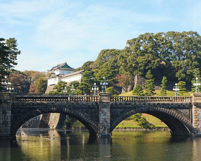 Tokyo Cruise Port Driver Transfer with Sightseeing Stops (6H) 3