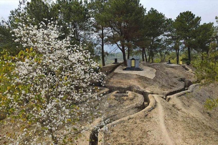 A winding dirt path, a small shrine, and blooming white trees in a natural setting. 4