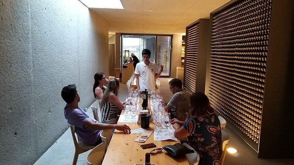 From Porto: Douro & Sparkling Wine Private Day Trip 1