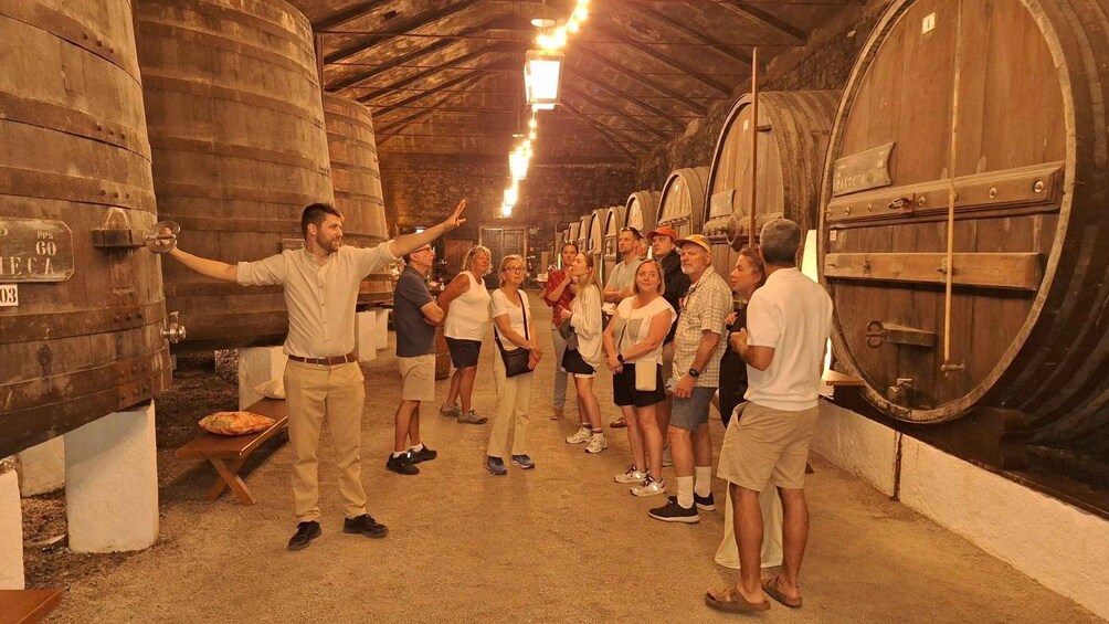 Picture 3 for Activity From Porto: Douro & Sparkling Wine Private Day Trip 3
