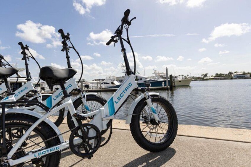 A white electric bike with 'LECTRIC' branding parked by a waterfront. 5