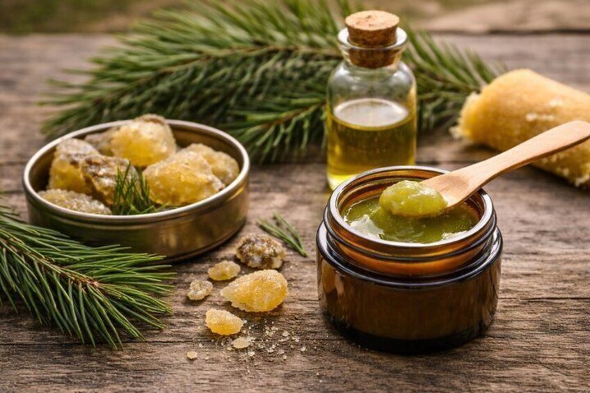 Guided Forest Walk and Pine Resin Salve Making in Salzburg 1