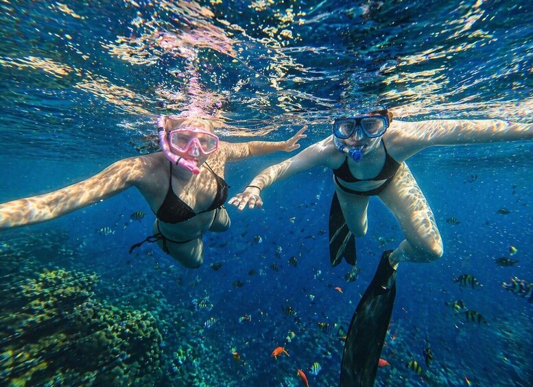 Two people snorkeling underwater with fish and coral reefs in the background. 5