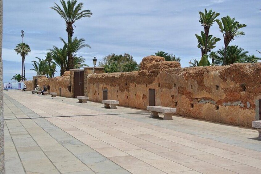 A paved walkway with stone benches, palm trees, and a weathered wall. 4