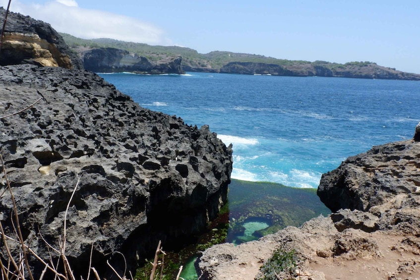 Picture 15 for Activity From Bali: West Nusa Penida with Turtle Conservation Visit 3
