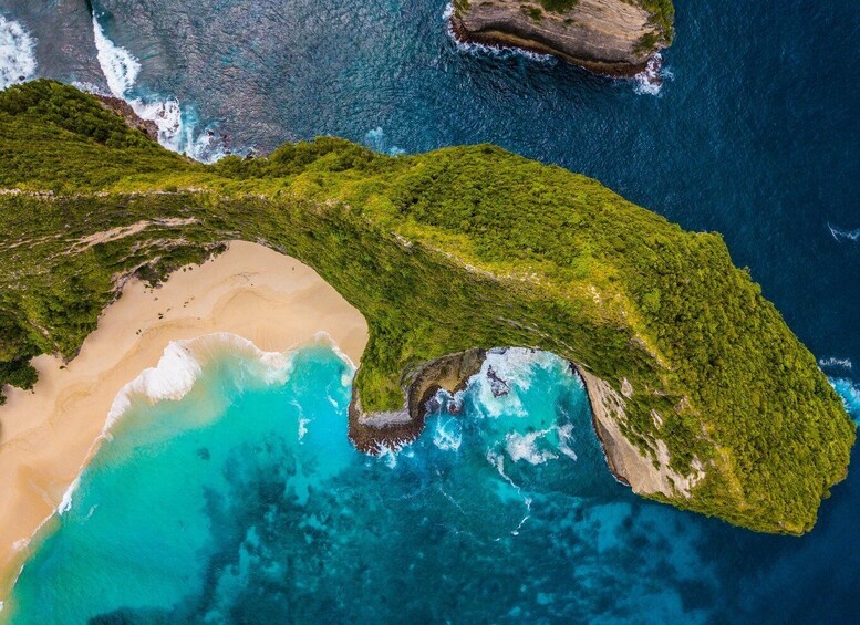 Picture 9 for Activity From Bali: West Nusa Penida with Turtle Conservation Visit 5