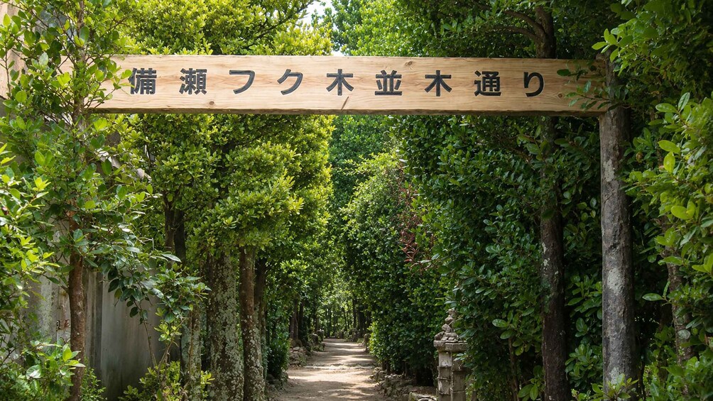 A wooden sign with Japanese characters, a pathway flanked by trees, and a stone lantern. 3
