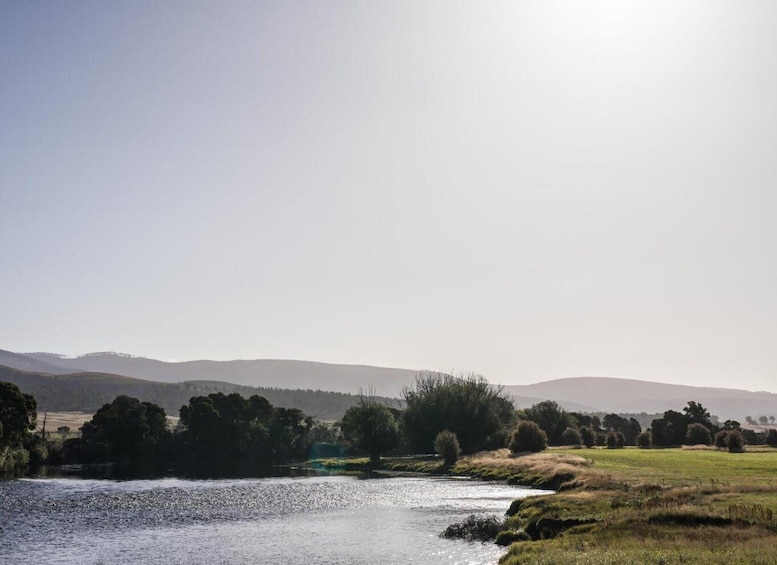 A river flowing through a valley with trees and hills in the background. 3