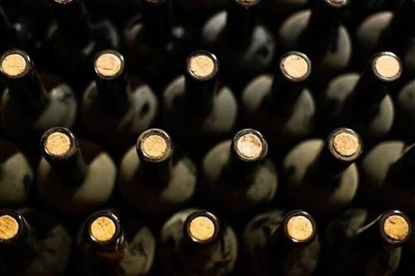 DOCG Wines and Local Delights in Avellino Taurasi Tasting 4