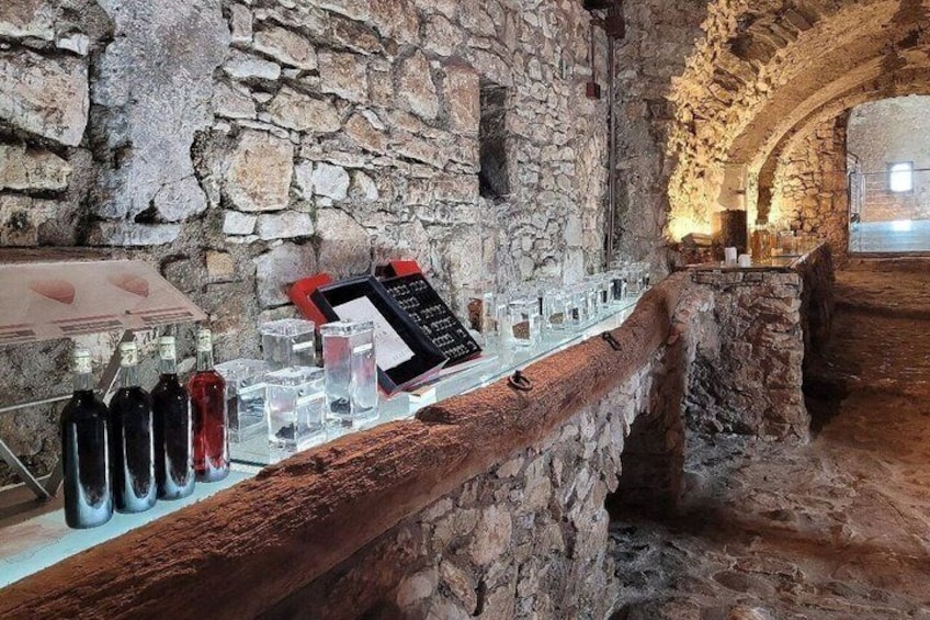 DOCG Wines and Local Delights in Avellino Taurasi Tasting 3