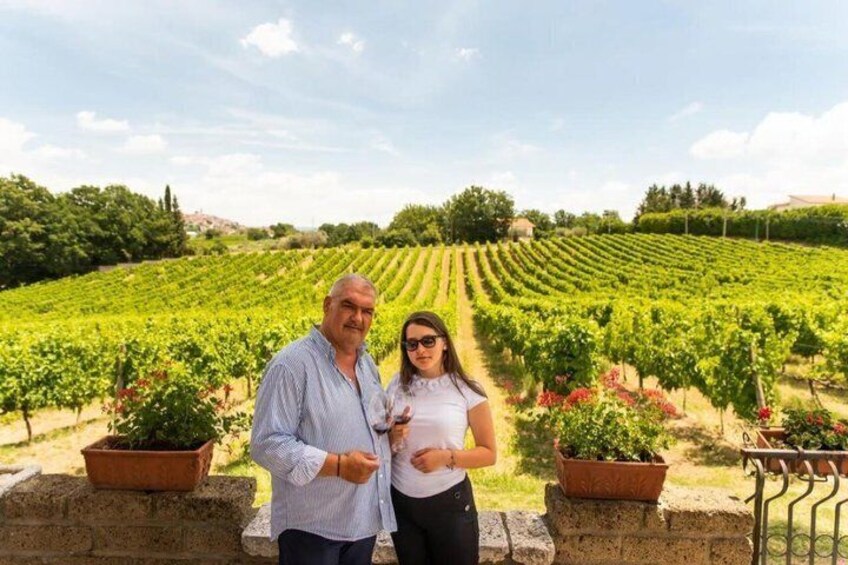 A vineyard with rows of grapevines and two people standing in the foreground. 2