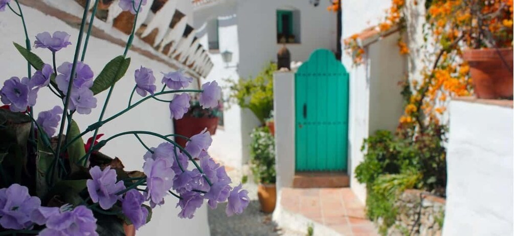 A white building with a green door, purple flowers in the foreground, and orange flowers on the right. 5