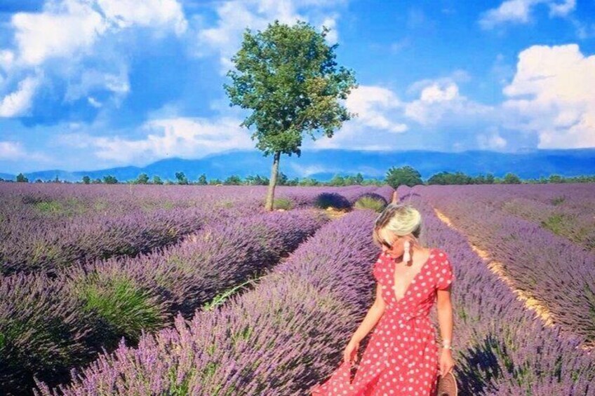 A woman in a red polka dot dress standing in a lavender field with a tree in the background. 5