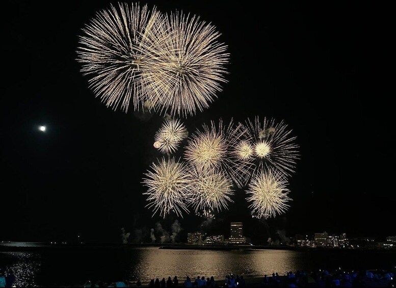 Fireworks over a body of water with city lights in the background. 4