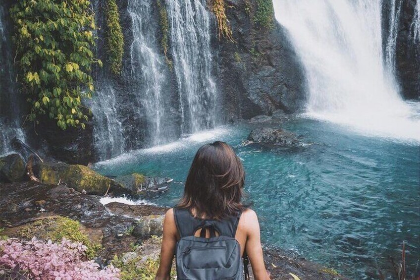 A waterfall with clear water, surrounded by greenery and rocks. 5