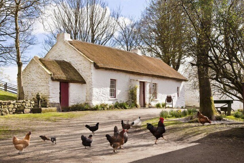 A white house with a thatched roof, chickens walking on the road, and a stone wall. 1