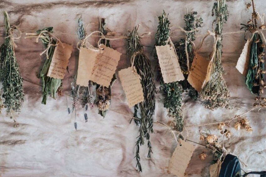 Dried herbs hanging on a wall with tags. 4